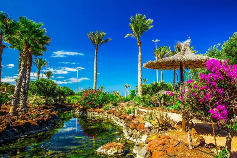 Best Hostels in Fuerteventura