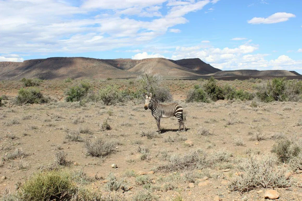Karoo National Park