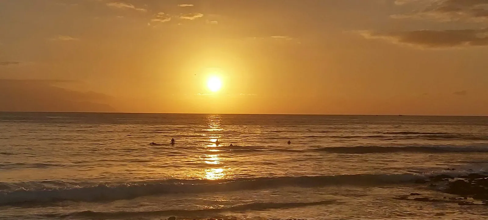 people swimming during orange sunset over the beach