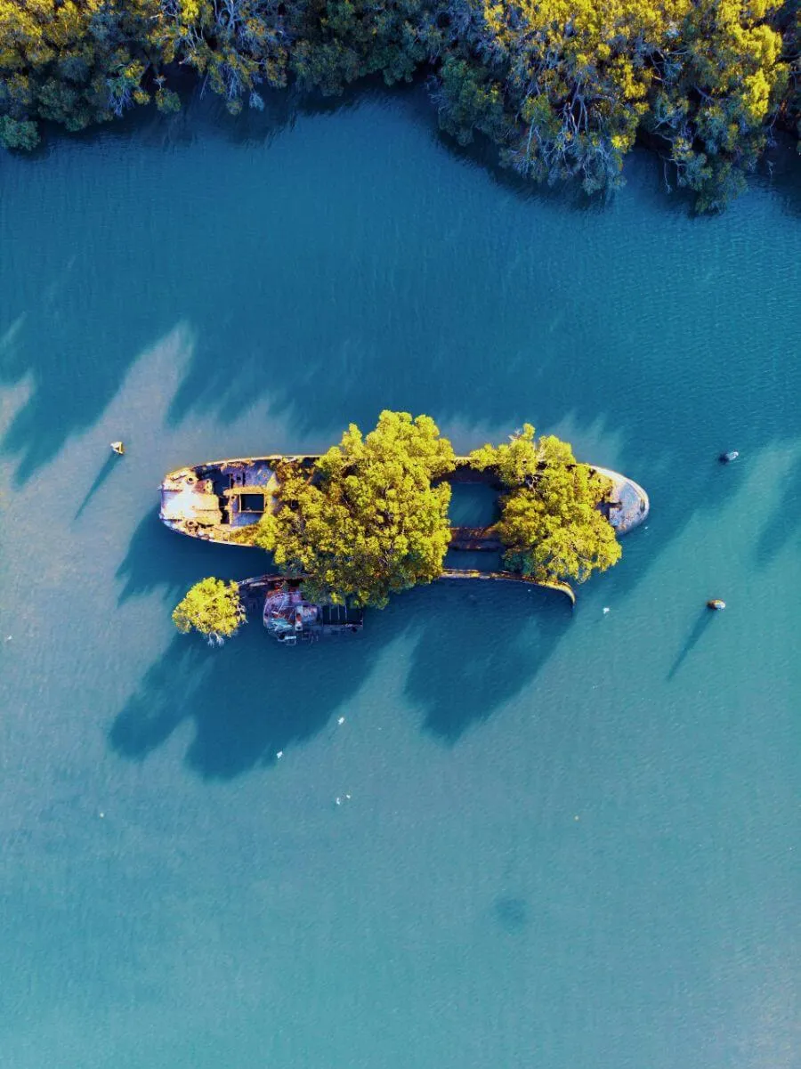 shipwrecks at homebush bay