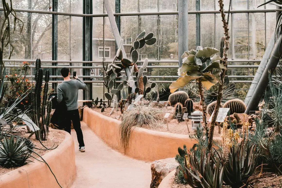 Man taking pictures of plants in Hortus Botanicus, Amsterdam