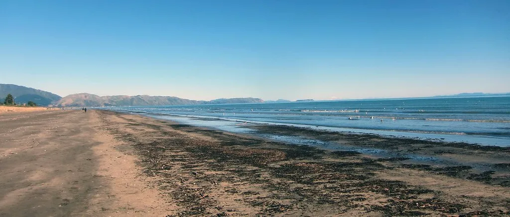 Long stretch of beach. Tide out with seaweed washed up. Beautiful blue sky and mountains in the distance.