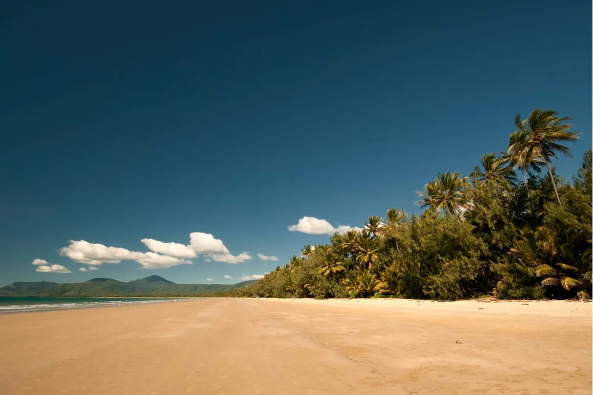 View down Flour Mile Beach showing golden sand, palm trees and mountains in the distance