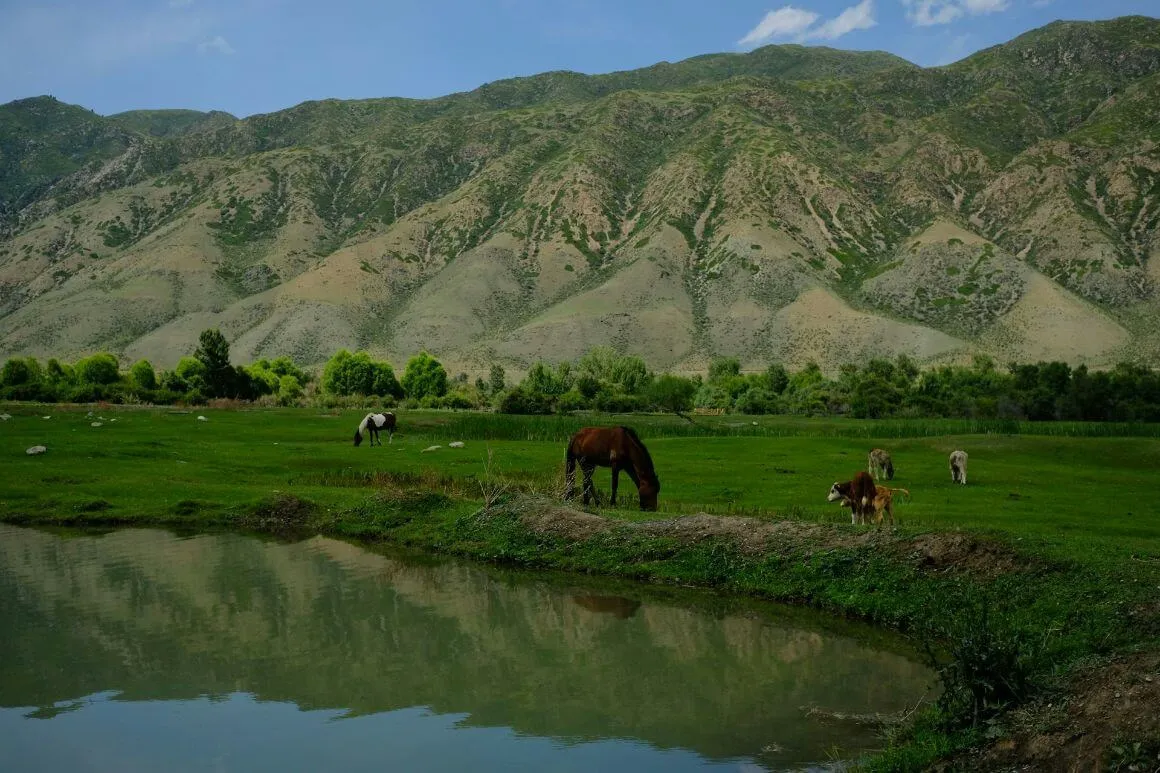 Saty Village animals by the lake