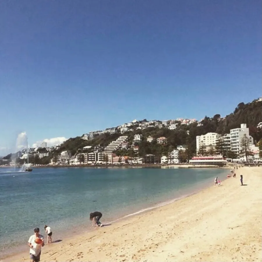 Oriental Bay in summer. Blue sky.