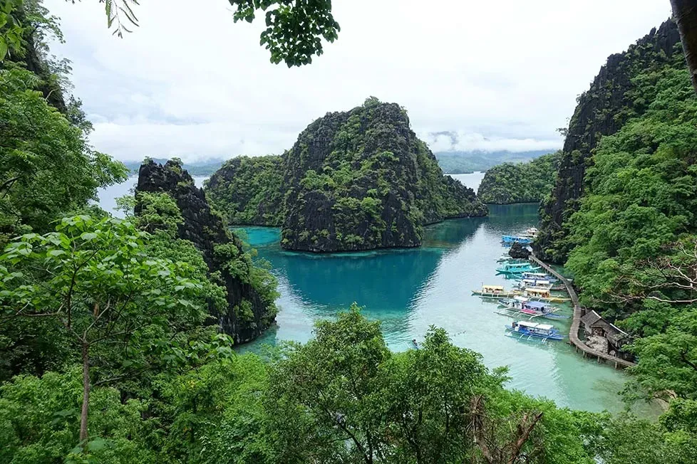 Looking out from the viewpoint in Coron Bay, Philippines. The sea is a green-blue colour with several jungle covered cliffs and small islands surrounding it.