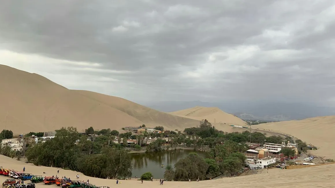 sand dunes with a tree lined oasis in the desert