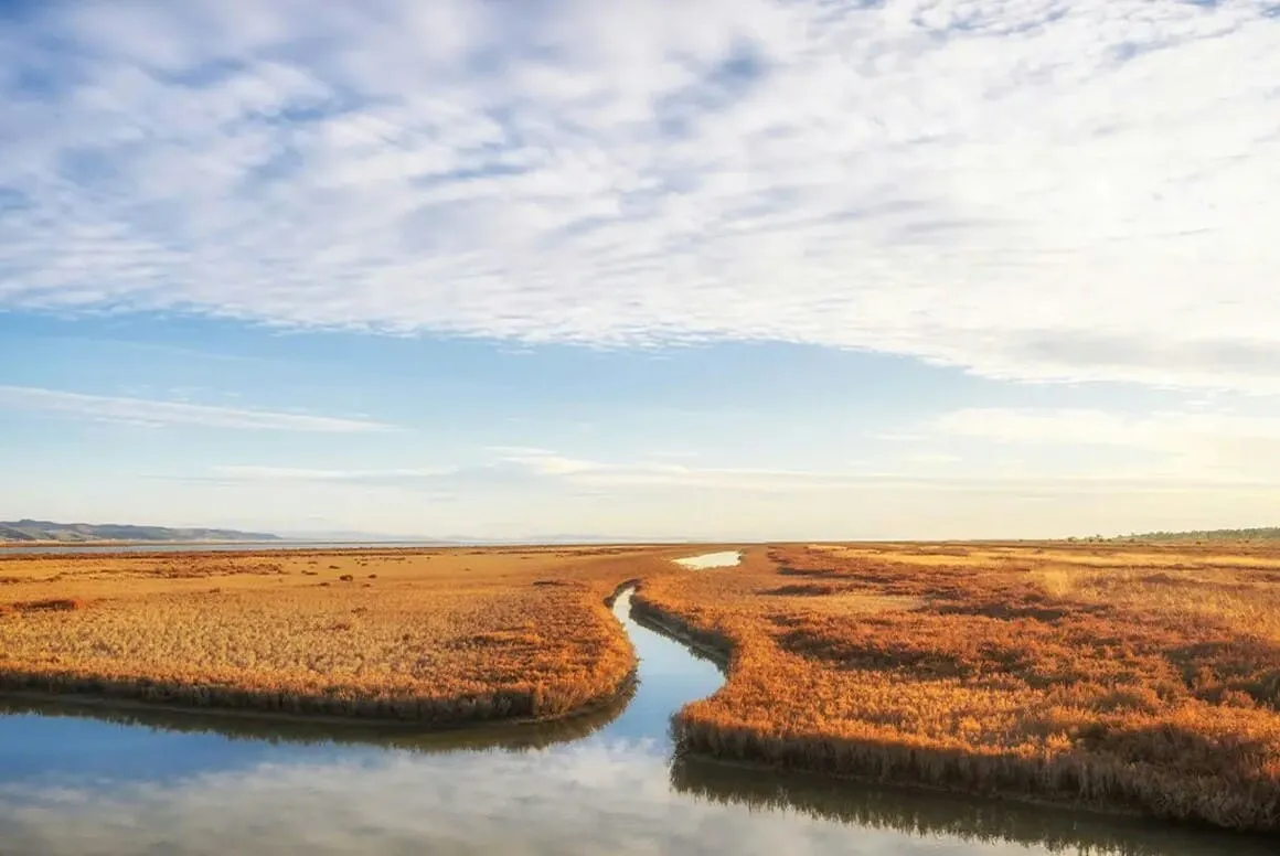 a photo of a wetland with a canal cutting through it on an Albania Adventure with Intrepid Travel