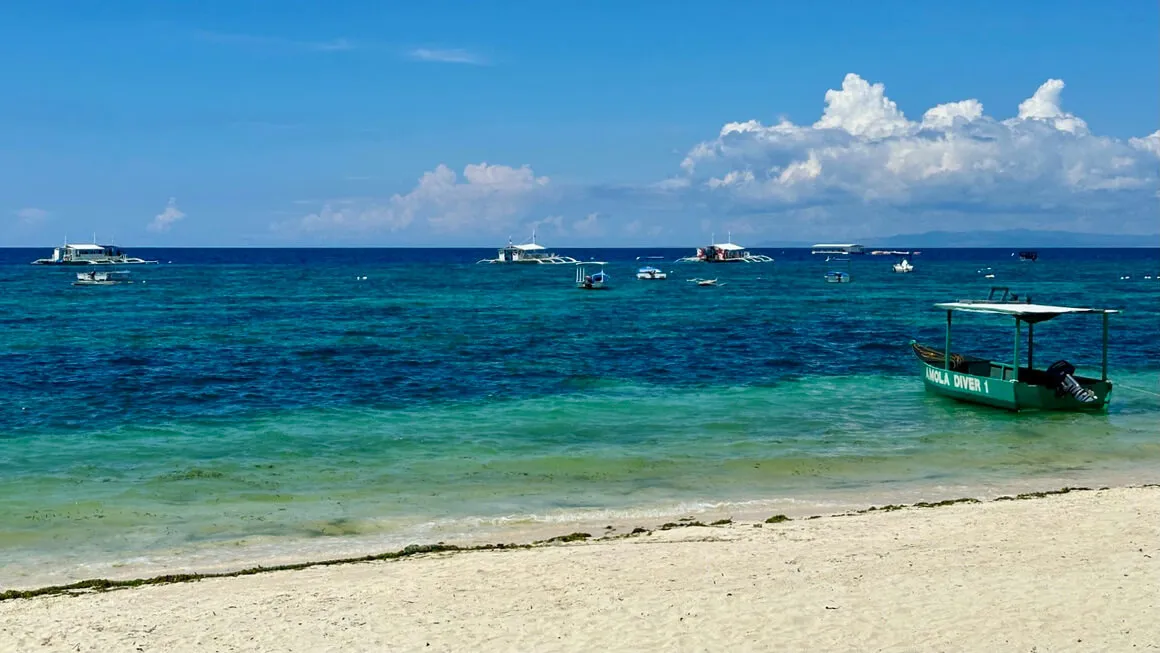 a view of crystal clear water and local boats on alona beach in the philippines