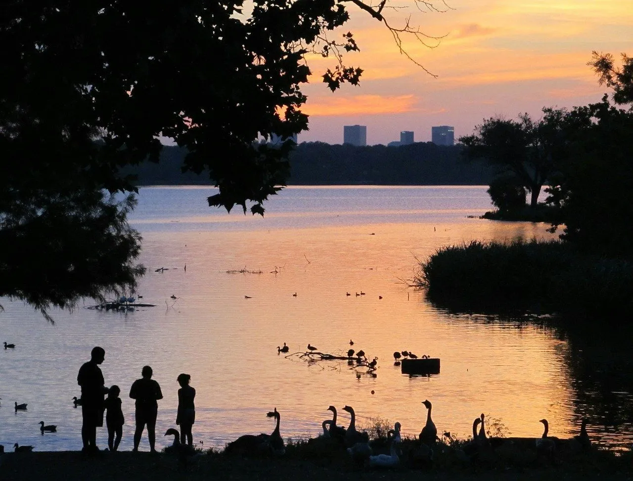 a lake in dallas at sunset, with a family playing and birds near the water with the skyline in the distance