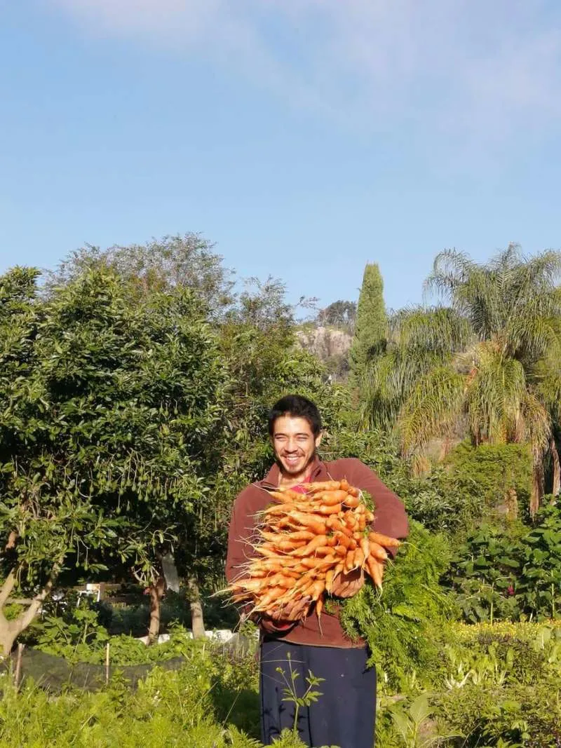 Holistic Farm Mexico