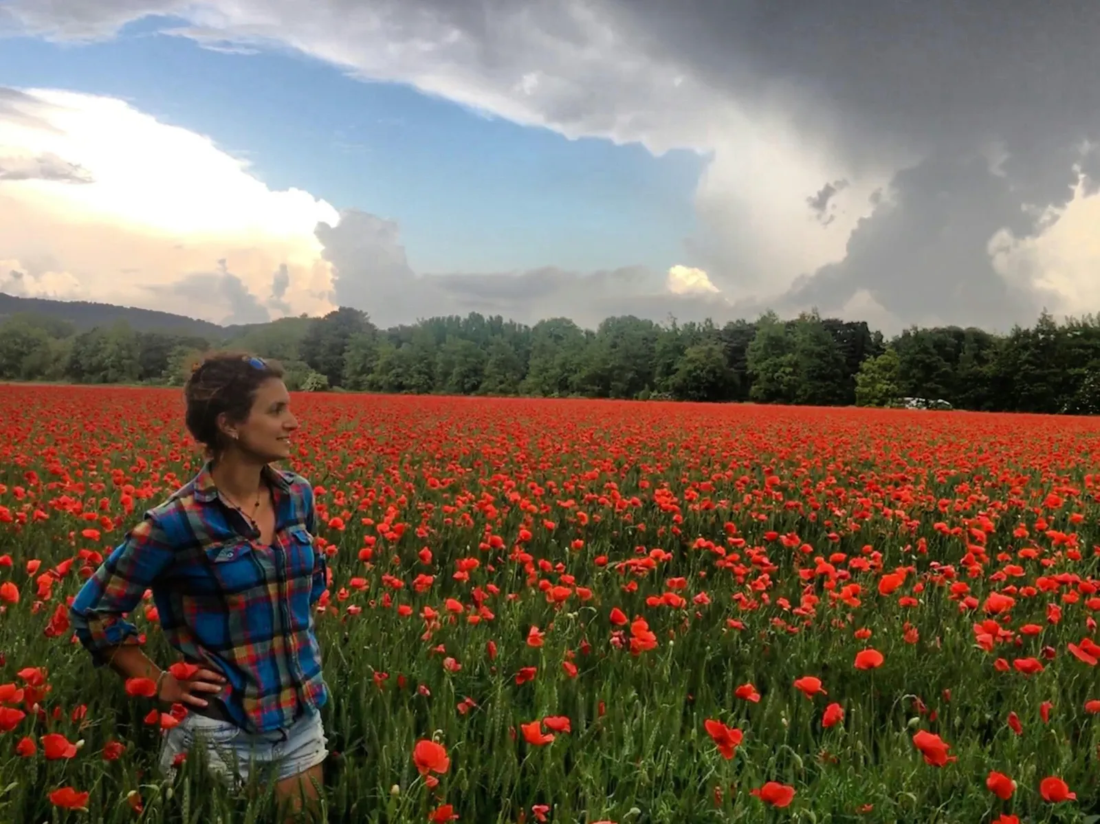 A girl in a flower field in France