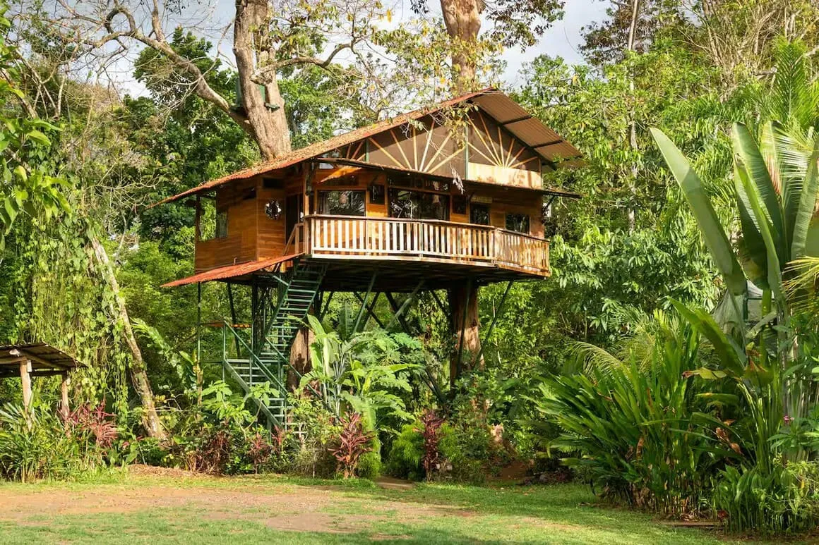 Treehouse with butterfly and exotic fruit farm