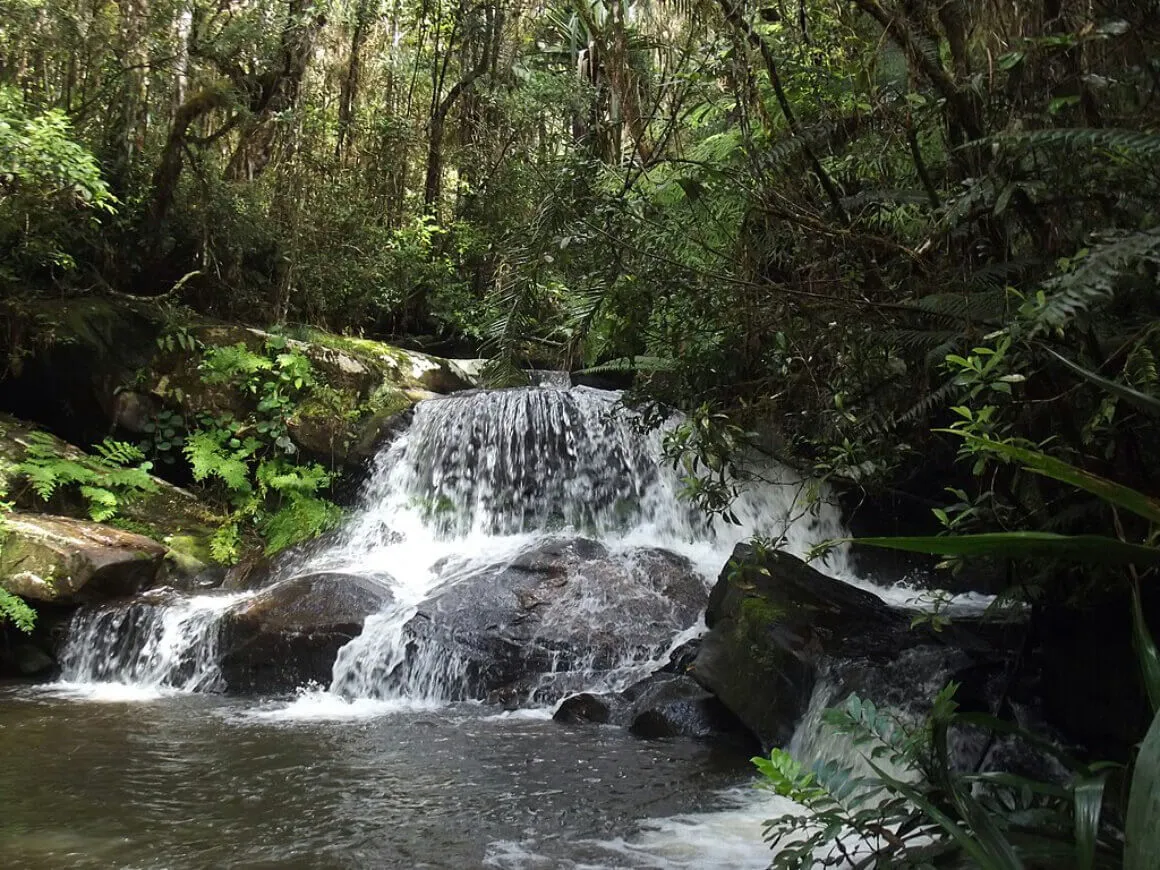 Andasibe-Mantadia National Park Madagascar