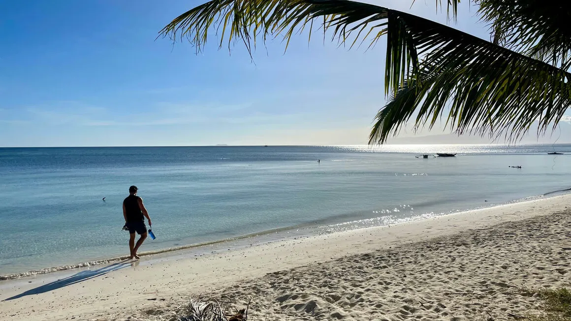 harv walking along a beach