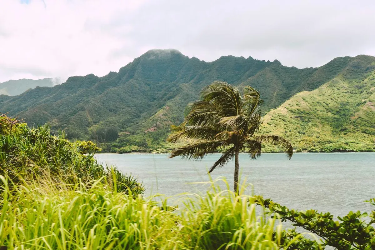 Maui Hostel Picks: Budget Stays for Every Kind of Traveler