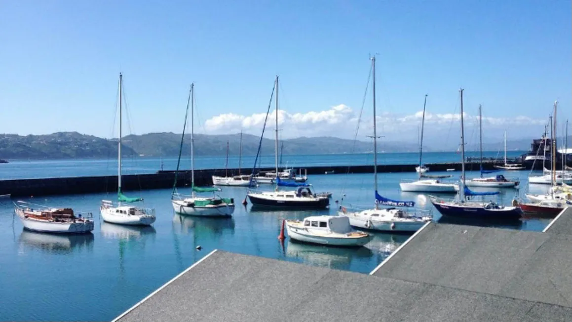View from the top of the boat sheds in Oriental Bay. Blue sky and sail boats on the water.