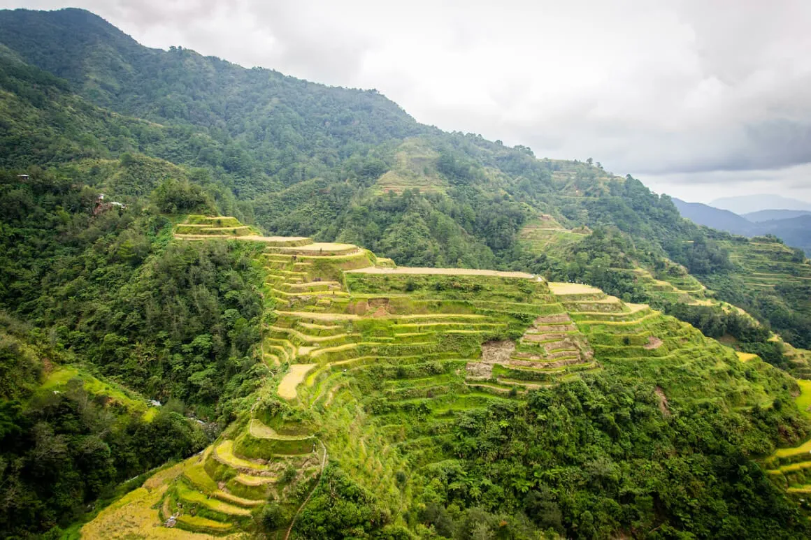 view of super green Batad Rice Terraces, Banaue in the Philippines