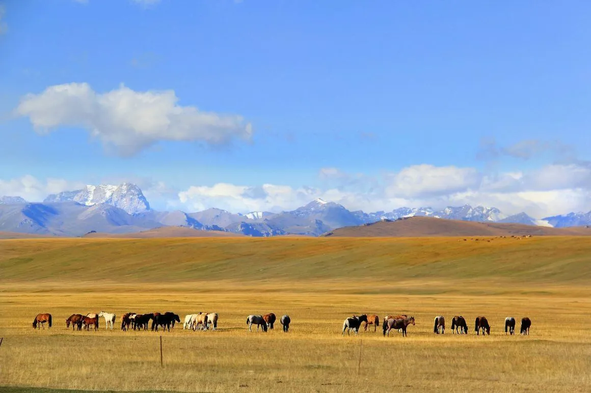 herd of horses in a wide plain field, mountains at the background