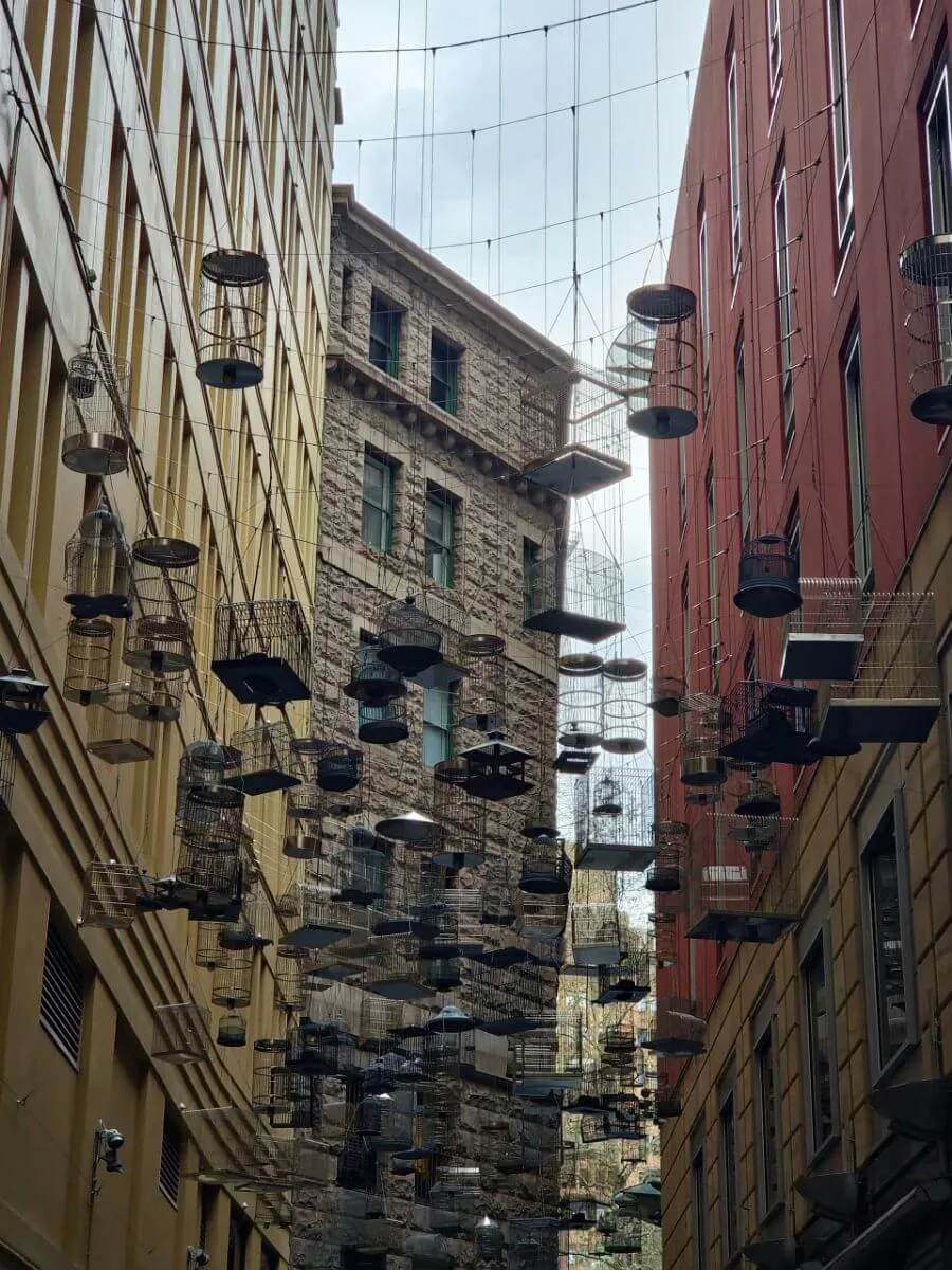 angels place, sydney