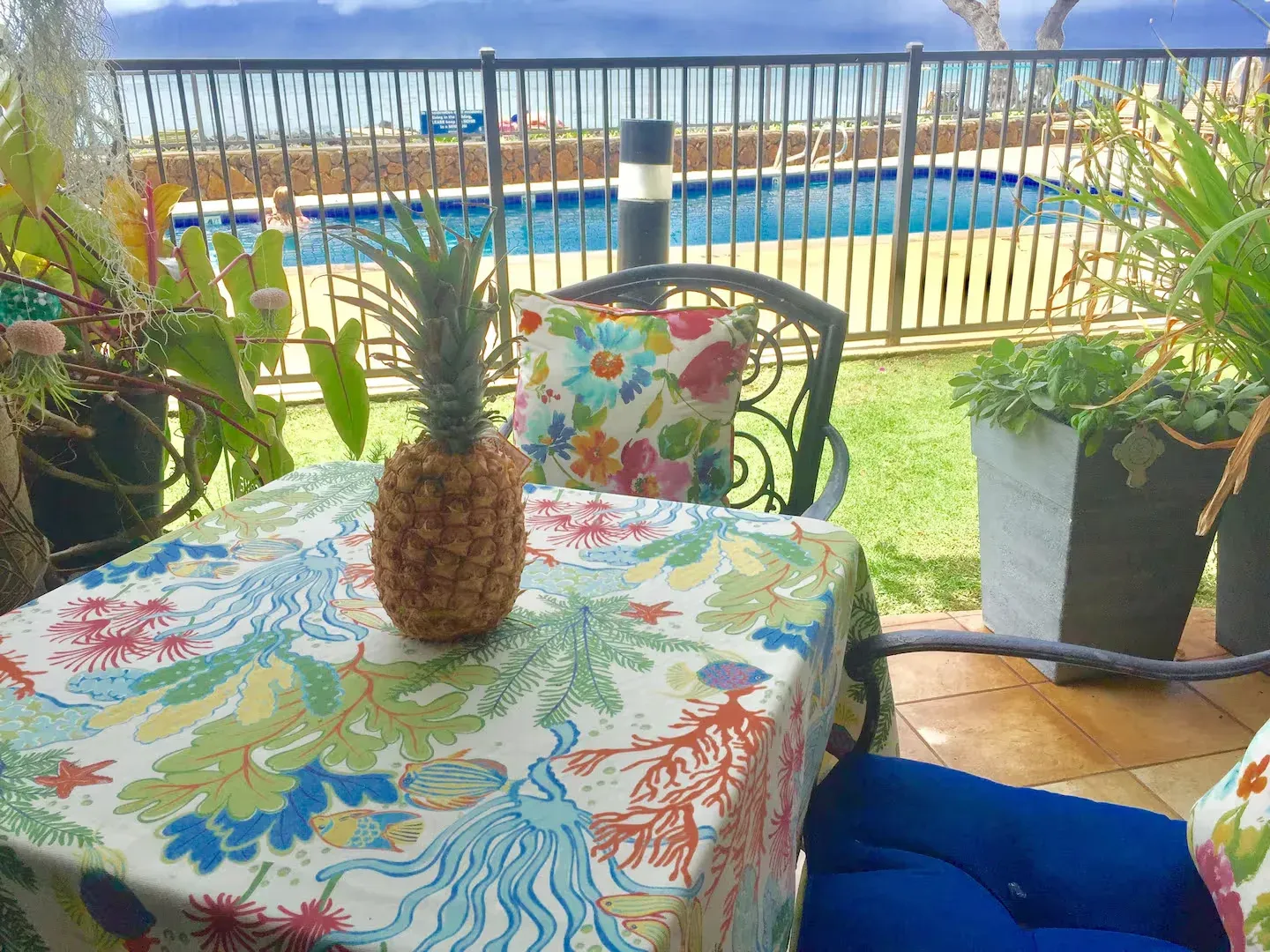 Maui Hostel Picks: Budget Stays for Every Kind of Traveler